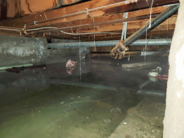 Best Ceiling water damage repair  in Windermere, FL