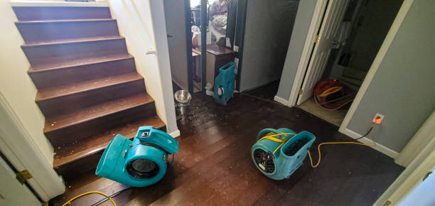 Best Basement water damage restoration  in Windermere, FL