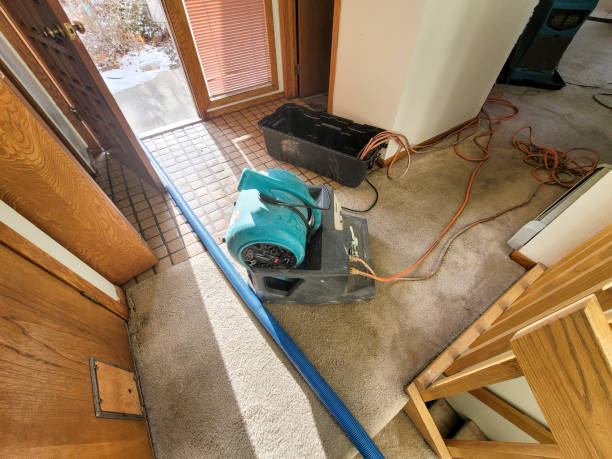 Best Commercial water damage restoration  in Windermere, FL