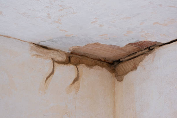 Best Water damage contractors near me  in Windermere, FL