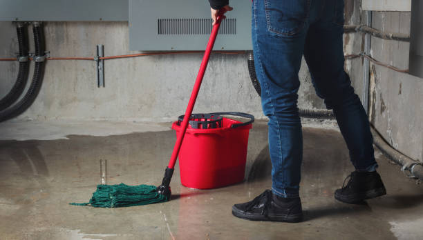 Best Water damage mitigation services  in Windermere, FL