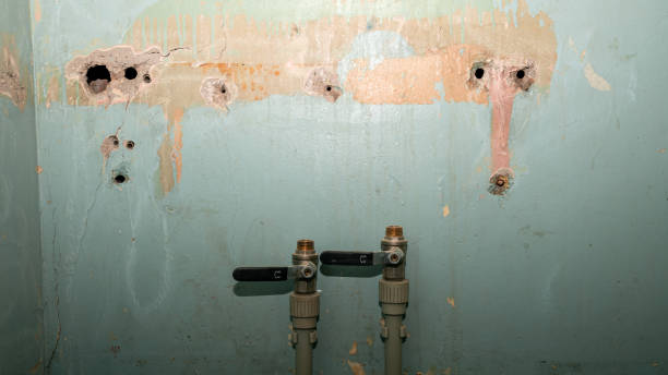 Best Water damage repair service  in Windermere, FL