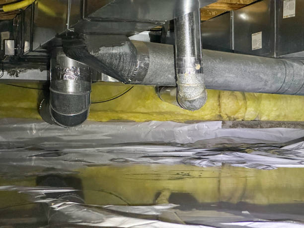 Best Water damage restoration services  in Windermere, FL