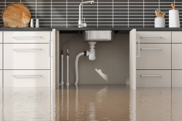 Carpet water damage restoration in FL