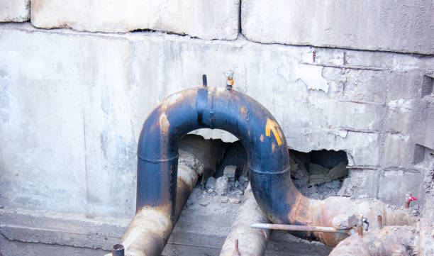 Best Flood restoration services  in Windermere, FL