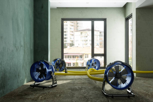 Best Sewage cleanup and water damage restoration  in Windermere, FL
